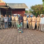 Panchgani news : महाबळेश्वरमध्ये खवले मांजराच्या खवल्यांची तस्करी उघड; डोंबिवलीच्या आरोपीला वनविभागाकडून बेड्या