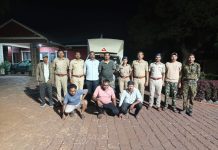 Panchgani news : महाबळेश्वर वनविभागाची मोठी कारवाई; थरारक पाठलाग करून ‘खैर’ तस्करी रोखली, तिघांना रंगेहात अटक